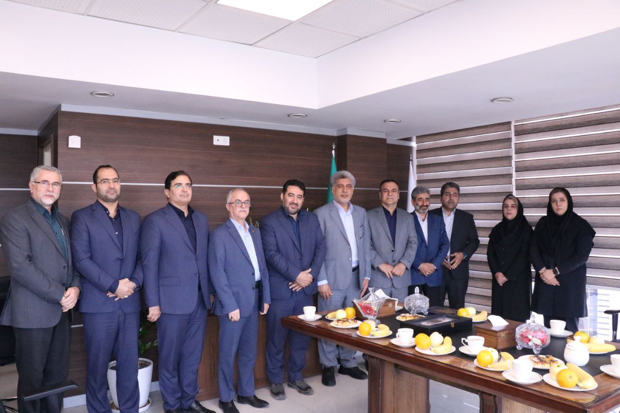 سرپرست شرکت تامین سرمایه